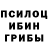Галлюциногенные грибы прущие грибы Noisy_beats