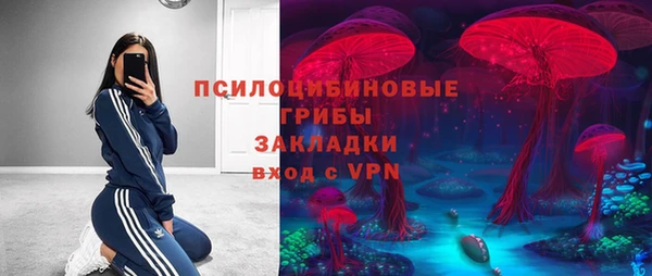 стаф Армянск