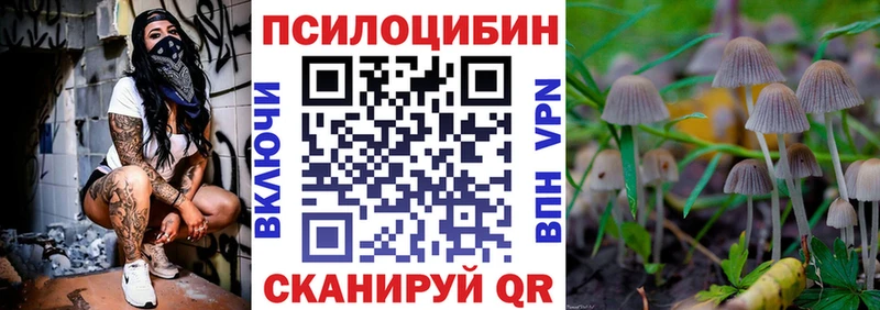 где можно купить   Аша  Псилоцибиновые грибы прущие грибы 