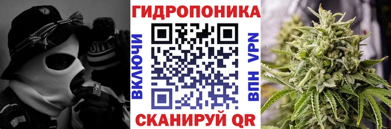 Каннабис планчик купить закладку Аша